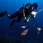 Miglior Fucile Subacqueo: Guida Definitiva 2023