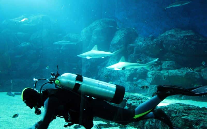 Attrezzatura Sub: Cosa serve a chi fa subacquea?