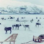 Viaggiare in inverno: 4 mete post Covid