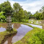 Bali: cosa vedere e quando andare nell'isola