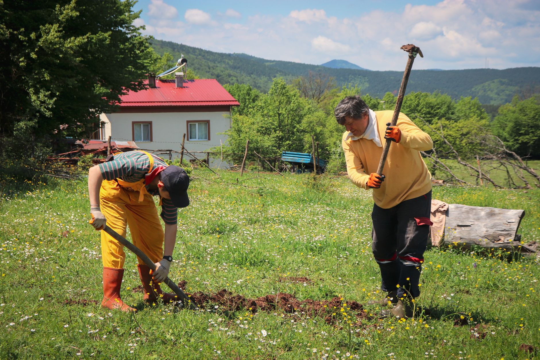 Wwoofing: come funziona e come iniziare