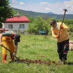Wwoofing: come funziona e come iniziare
