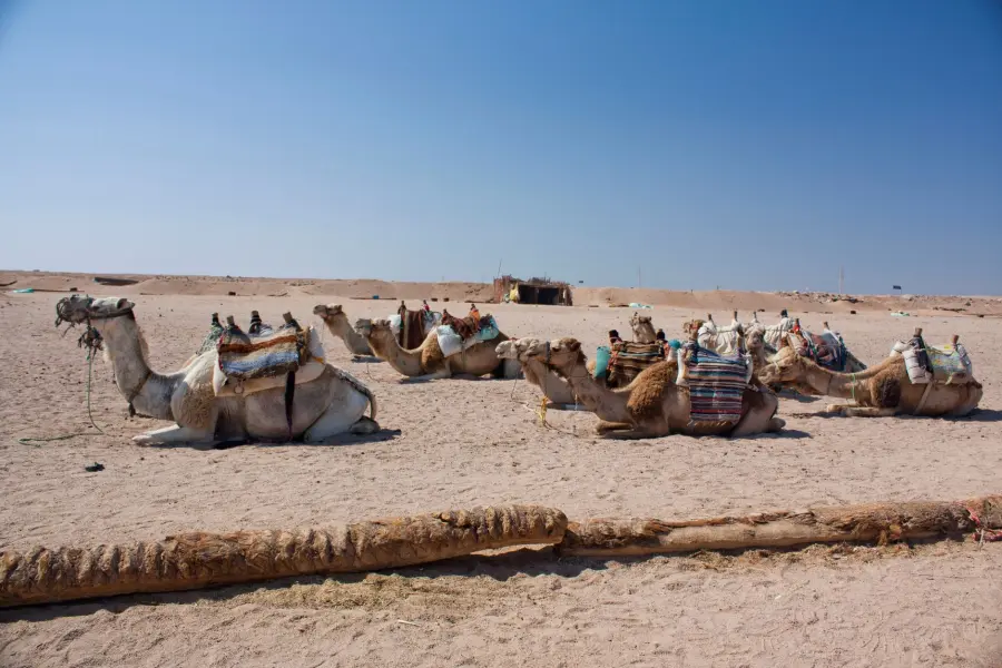 Luxor Egitto: guida ai siti dell'Antico Egitto