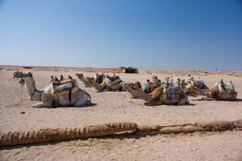 Luxor Egitto: guida ai siti dell'Antico Egitto