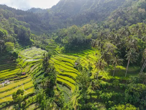 Bali oltre Kuta: Ubud, Batur e la costa nord