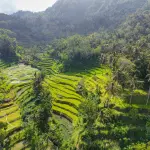 Bali oltre Kuta: Ubud, Batur e la costa nord