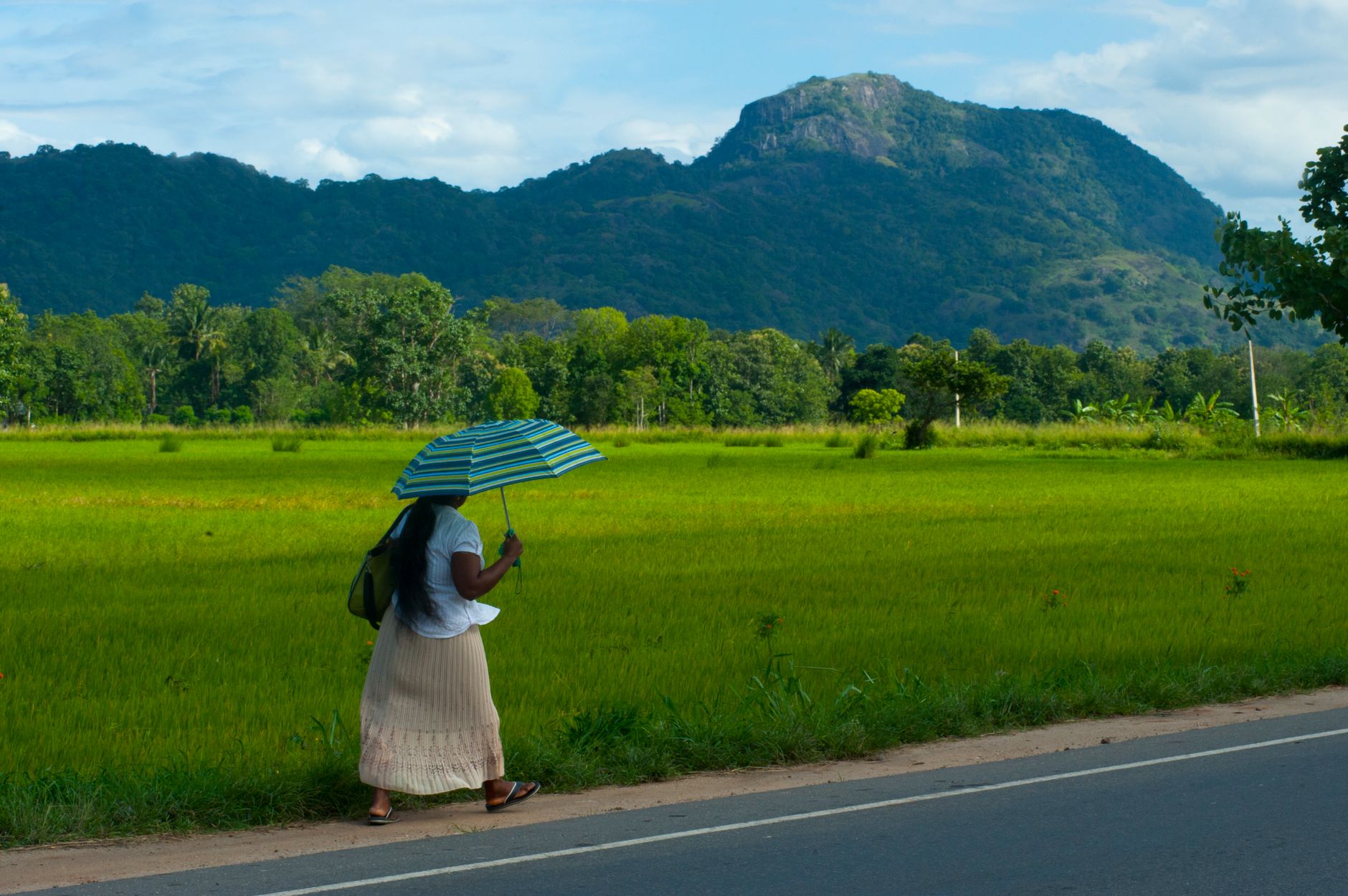Sri Lanka in due settimane: templi e tè