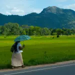 Sri Lanka in due settimane: templi e tè