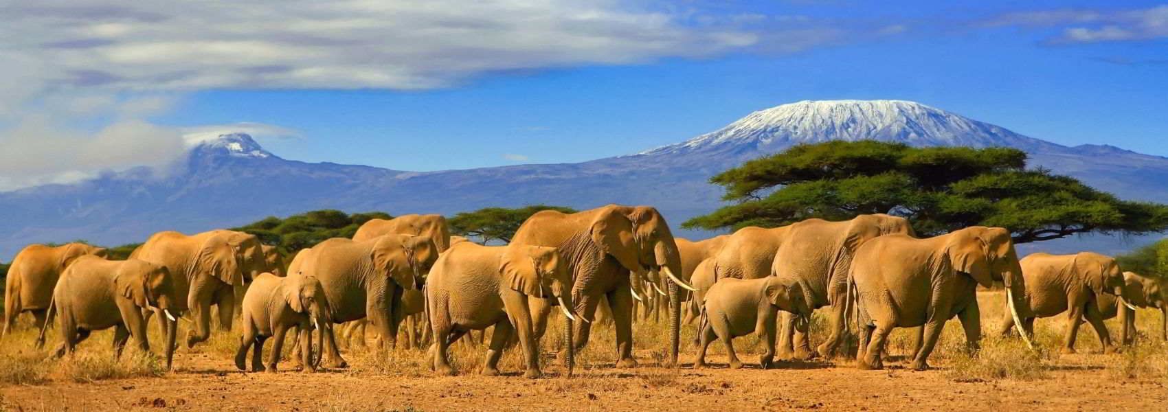 Cosa vedere in kenya, i luoghi più belli da visitare