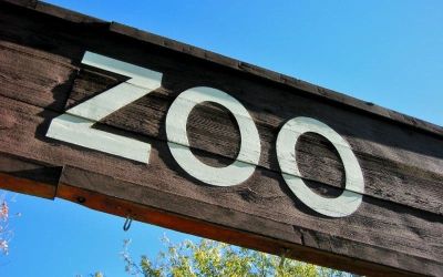 zoo di napoli foto