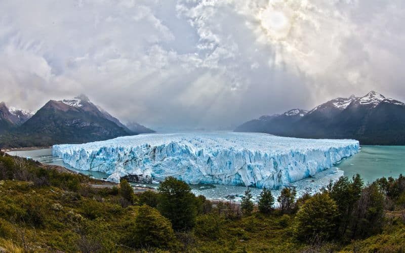 osa vedere in patagonia