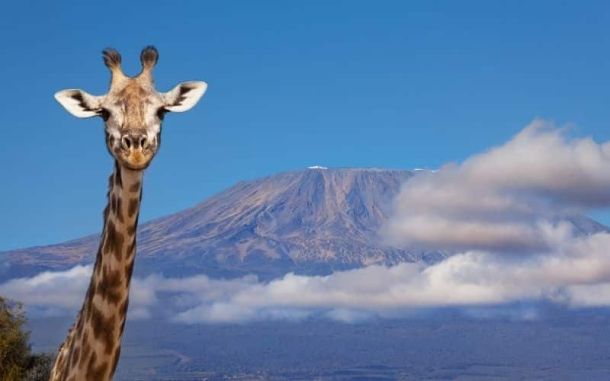 monte kilimanjaro foto della tanzania