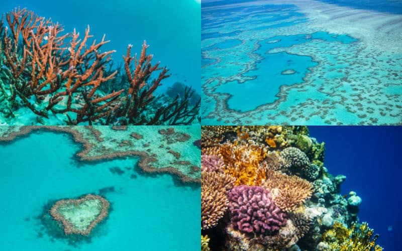 australia barriera corallina
